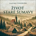 Život staré Šumavy - Šumava od pravěku do počátků 20. století - Vondruška Vlastimil – Zboží Dáma