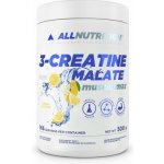 AllNutrition 3 Creatine Malate 500 g – Hledejceny.cz