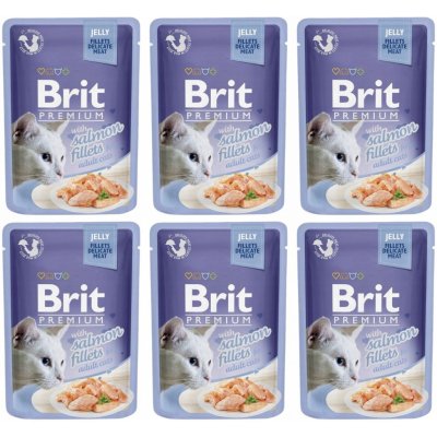 Brit Premium Cat D Fillets in Jelly with Salmon 6 x 85 g – Zboží Mobilmania