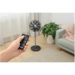 Sencor SFN 3040BK – Hledejceny.cz