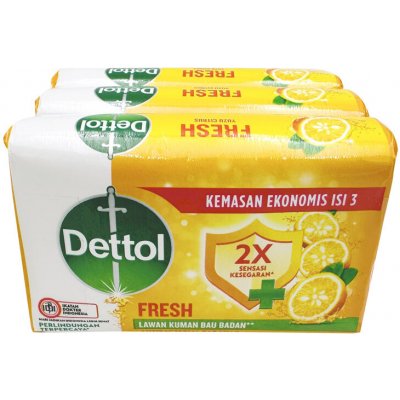 Dettol antibakteriální pevné mýdlo fresh 100 g – Zboží Dáma
