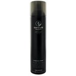 Paul Mitchell Awapuchi Wild Ginger Finishing Spray 300 ml – Hledejceny.cz