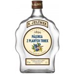 R. Jelínek Pálenka z planých trnek 42% 0,7 l (holá láhev) – Zboží Dáma