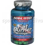 Aminostar Fat Burner Thermogenic 90 kapslí – Hledejceny.cz