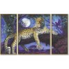 Malování podle čísla Schipper Afrika leopard v noci