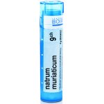 NATRUM MURIATICUM POR 9CH GRA 1X4G – Hledejceny.cz