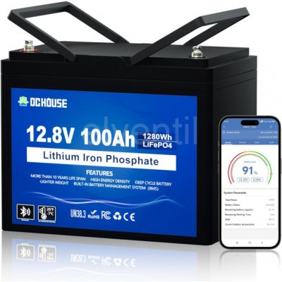 DCHOUSE LiFePO4 12V/100Ah 1280Wh Bluetooth – Sleviste.cz