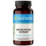Bioherba Extrakt z artičoky 250 mg 100 kapsúl – Hledejceny.cz