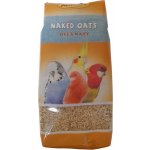 Avicentra oves nahý 1 kg – Zboží Dáma