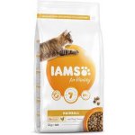 Iams Cat Adult Hairball Chicken 10 kg – Hledejceny.cz