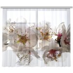 Fotozáclona AGdesign průhledná, květinový vzor 280 x 245 cm – Hledejceny.cz