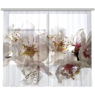 Fotozáclona AGdesign průhledná, květinový vzor 280 x 245 cm – Hledejceny.cz