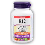 Webber Naturals Vitamín B12 1200mcg 80 tablet – Hledejceny.cz