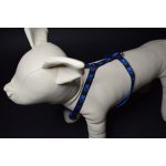 Palkar klasický postroj pro psy – Hledejceny.cz