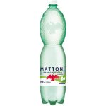 Mattoni Esence jablko a máta jemně perlivá 1,5 l – Hledejceny.cz