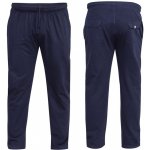 D555 kalhoty pánské RORY tepláky tmavě modrá – Hledejceny.cz