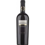 Fantini Vini Abruzzo Edizione Cinque Autoctoni 2021 14% 0,75 l (holá láhev) – Hledejceny.cz