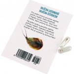 Albi Pravěké akvárium náhradní vajíčka listonohů – Zboží Dáma