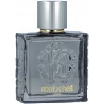 Roberto Cavalli Uomo Silver Essence toaletní voda pánská 100 ml – Hledejceny.cz