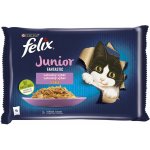 Felix Fantastic s lososem a platýsem v želé 4 x 85 g – Hledejceny.cz