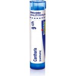 CANTHARIS POR 9CH GRA 1X4G – Hledejceny.cz