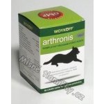 Arthronis Fáze 2 60 tbl – Zboží Dáma