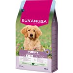 Eukanuba Puppy & Junior Large & Giant Breed Lamb 12 kg – Hledejceny.cz
