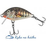 Salmo Tiny Sinking Holo Stickleback 3 cm – Hledejceny.cz