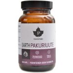 Puhdistamo Earth Chaga BIO Pakuriuute 60 kapslí – Hledejceny.cz