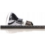 Repti Zoo Neodymium Daylight 35 W – Zboží Dáma