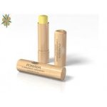 Regina pomáda s měsíčkem zahradním 3,1 g – Zboží Dáma