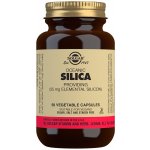 Solgar Oceanic Silica 25 mg 50 kapslí – Hledejceny.cz