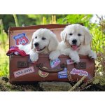 Ravensburger Oddych štěňata v kufru 100 dílků – Zboží Dáma