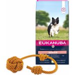 Eukanuba Senior Small & Medium Breed jehněčí s rýží 12 kg – Hledejceny.cz