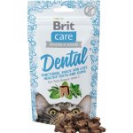 Brit care cat snack dental krůtí 50 g – Hledejceny.cz