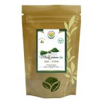 Salvia Paradise Mladý zelený ječmen 100% sušená šťáva BIO 100 g – Hledejceny.cz