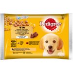 Pedigree Junior Kuřecí a krůtí maso v želé 4 x 100 g – Sleviste.cz