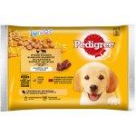 Pedigree Junior kuřecí & krůta v želé 4 x 100 g – Zboží Mobilmania