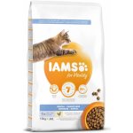 Iams for Vitality Cat Adult Dental Chicken 10 kg – Hledejceny.cz