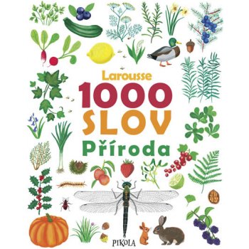 1000 slov – Příroda - kolektiv autorů