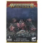 GW Warhammer Age of Sigmar Daemons of Khorne Flesh Hounds – Zboží Živě