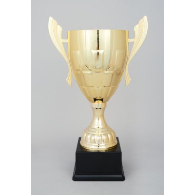 Zlatý sportovní pohár 47 cm – Zboží Dáma