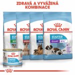 Royal Canin Starter MOUSSE 195 g – Hledejceny.cz