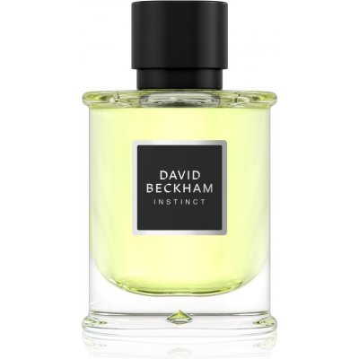 David Beckham Instinct parfémovaná voda pánská 75 ml – Sleviste.cz