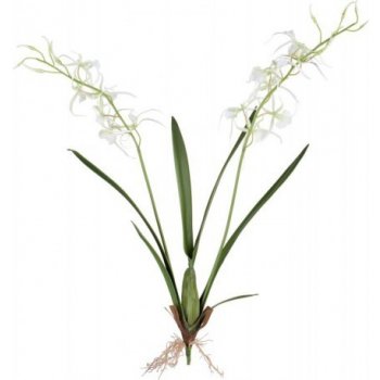 Lene Bjerre Dekorační orchidej s kořenovým balem FLORA, výška 81 cm