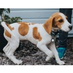 Belkin Secure holder pouzdro na AirTag černé MSC002btBK – Zboží Živě