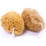 Caribbean Sun mycí houba mořská vlna 9-11 cm bez provázku – Zboží Dáma