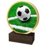 Poháry Bauer Dřevěná plaketa TFRW812 Fotbal – Sleviste.cz