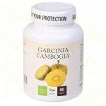 Natural Medicaments Garcinia Cambogia 90 kapslí – Hledejceny.cz