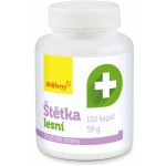 Wolfberry Štětka lesní 120 kapslí – Hledejceny.cz